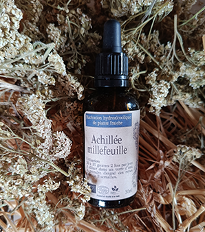 Alcoolature Achillée milleufeuille - 50ml