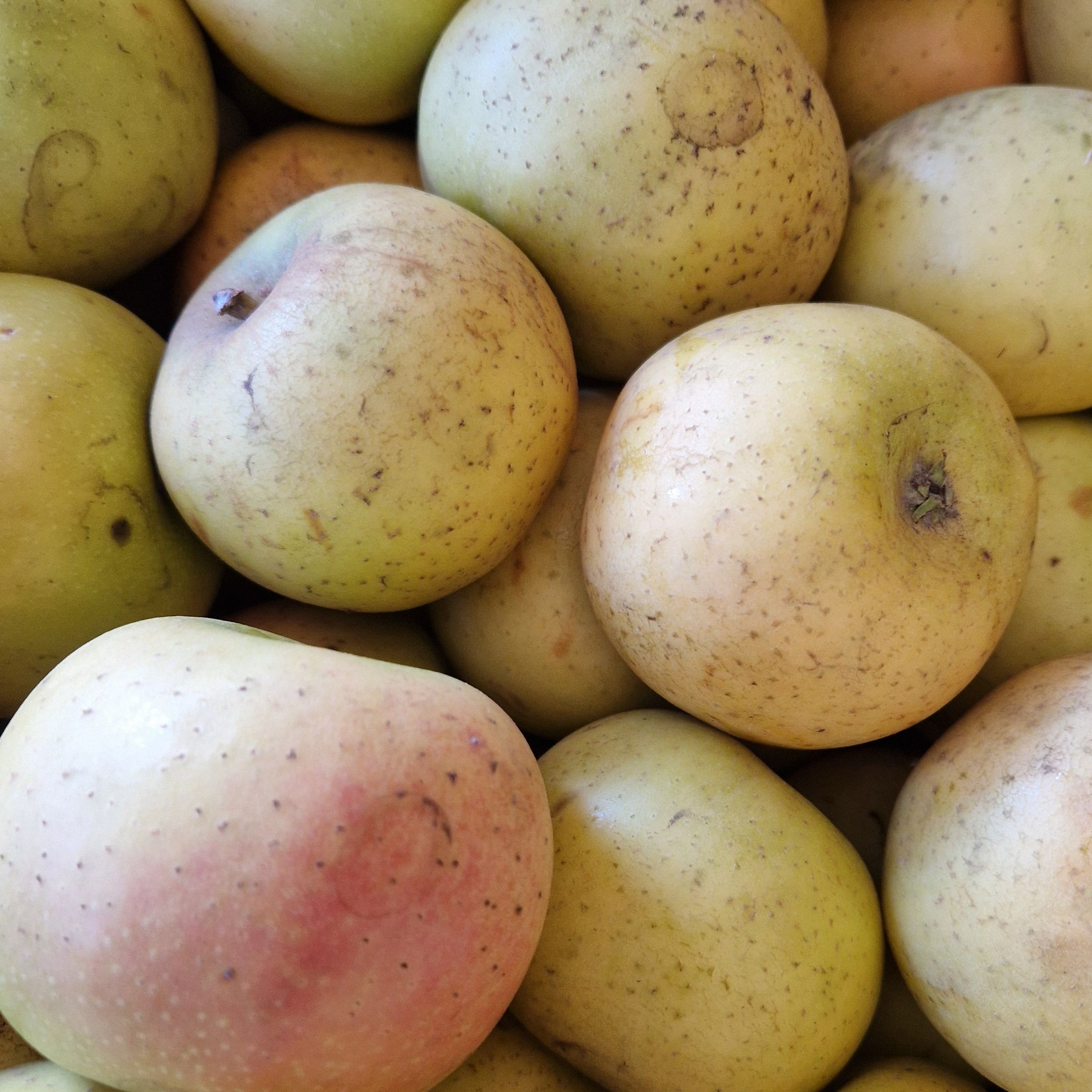 POMME