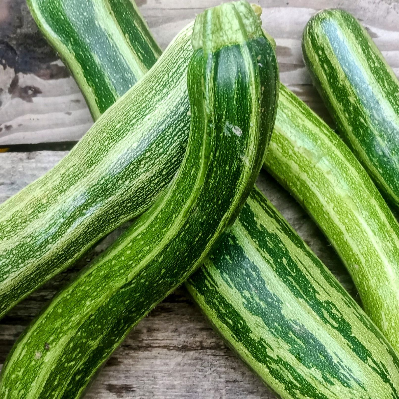Courgette