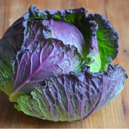 CHOU VERT FRISE DE PONTOISE