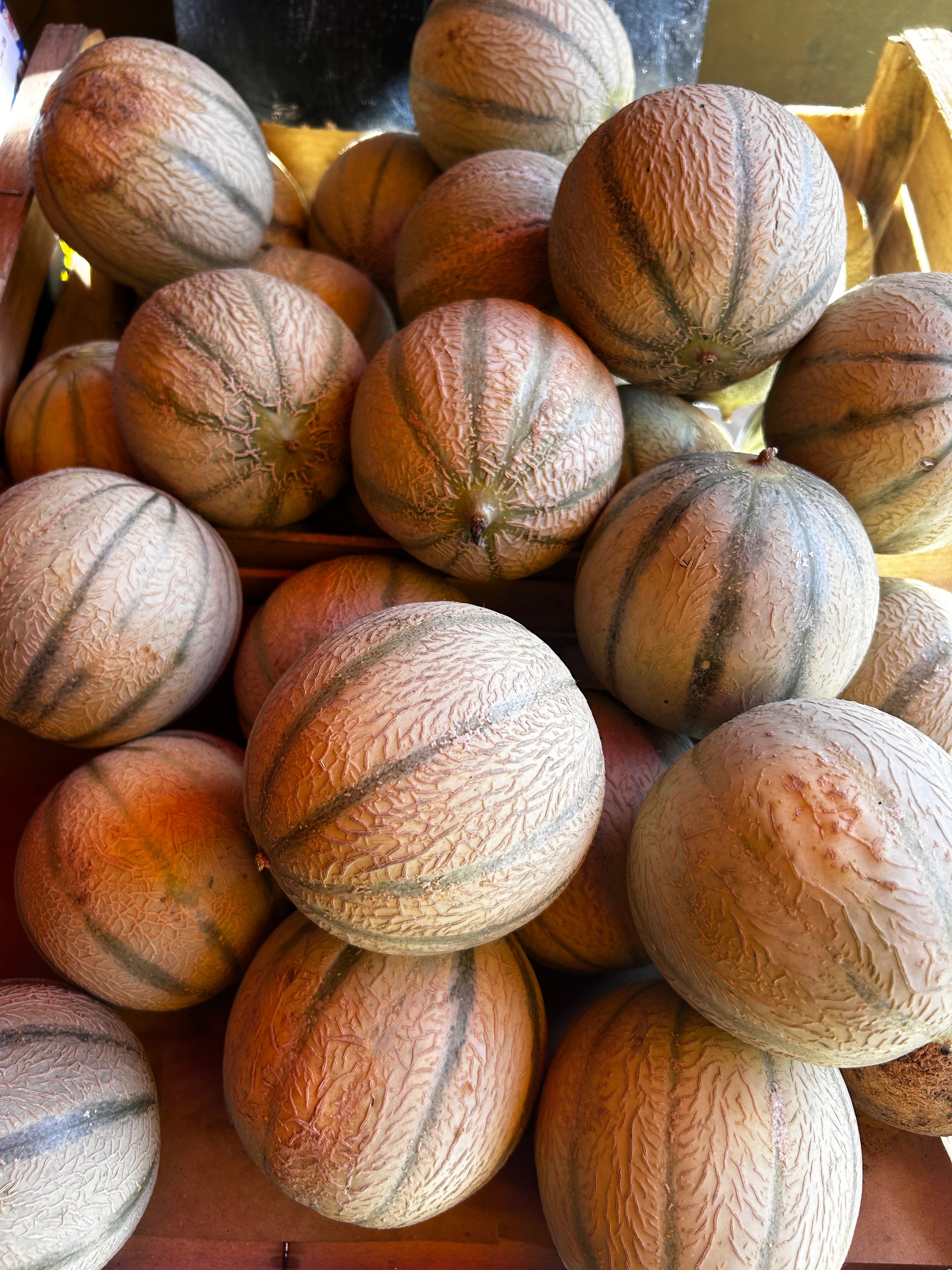 MELON