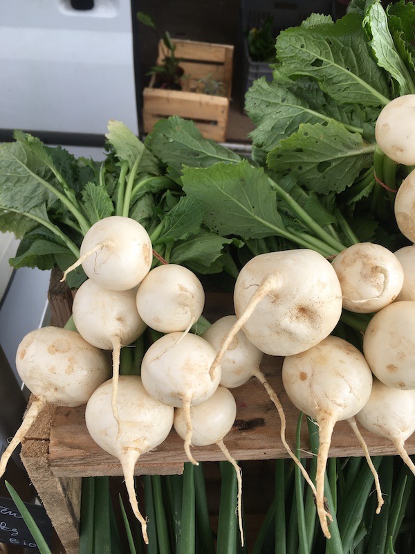 Navet Rabiole, botte