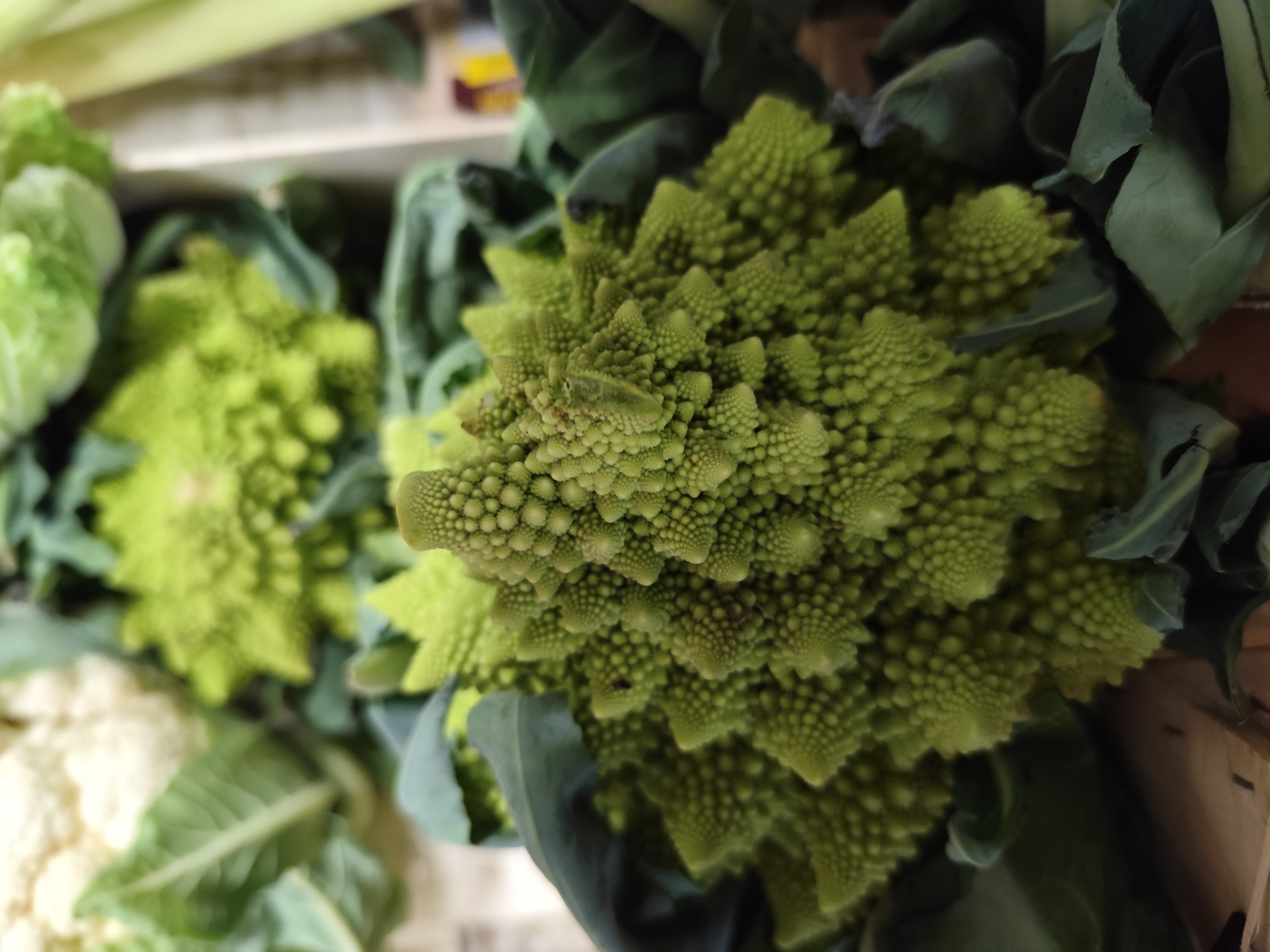 Chou Romanesco 1 KG