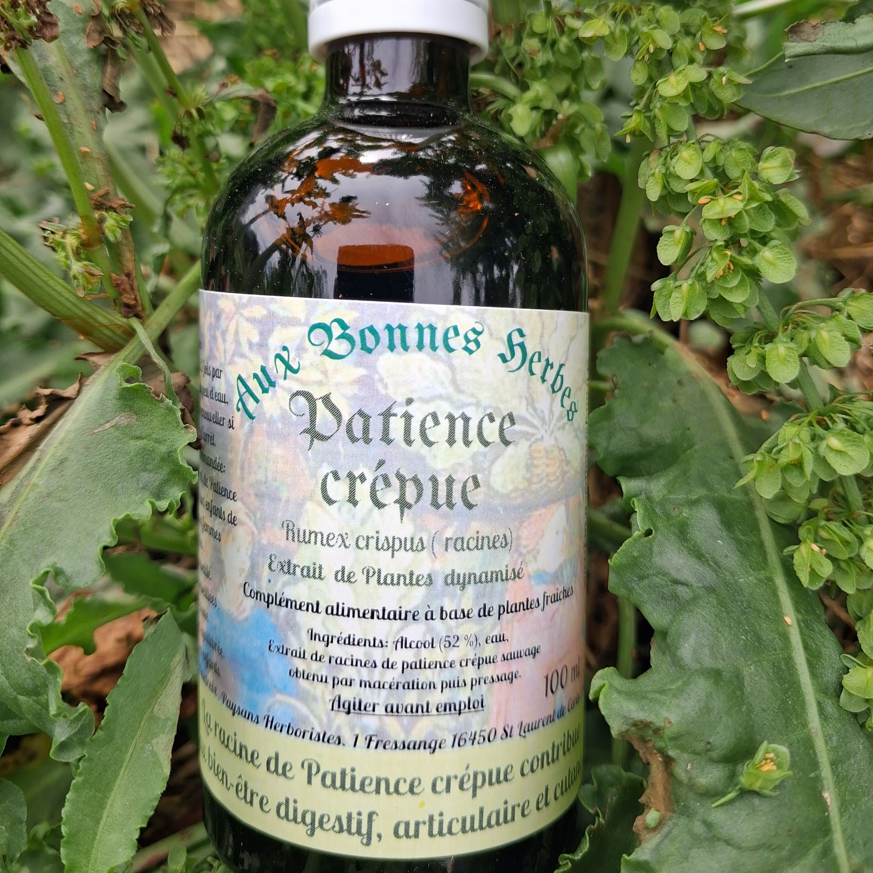 Patience crépue - 100ml