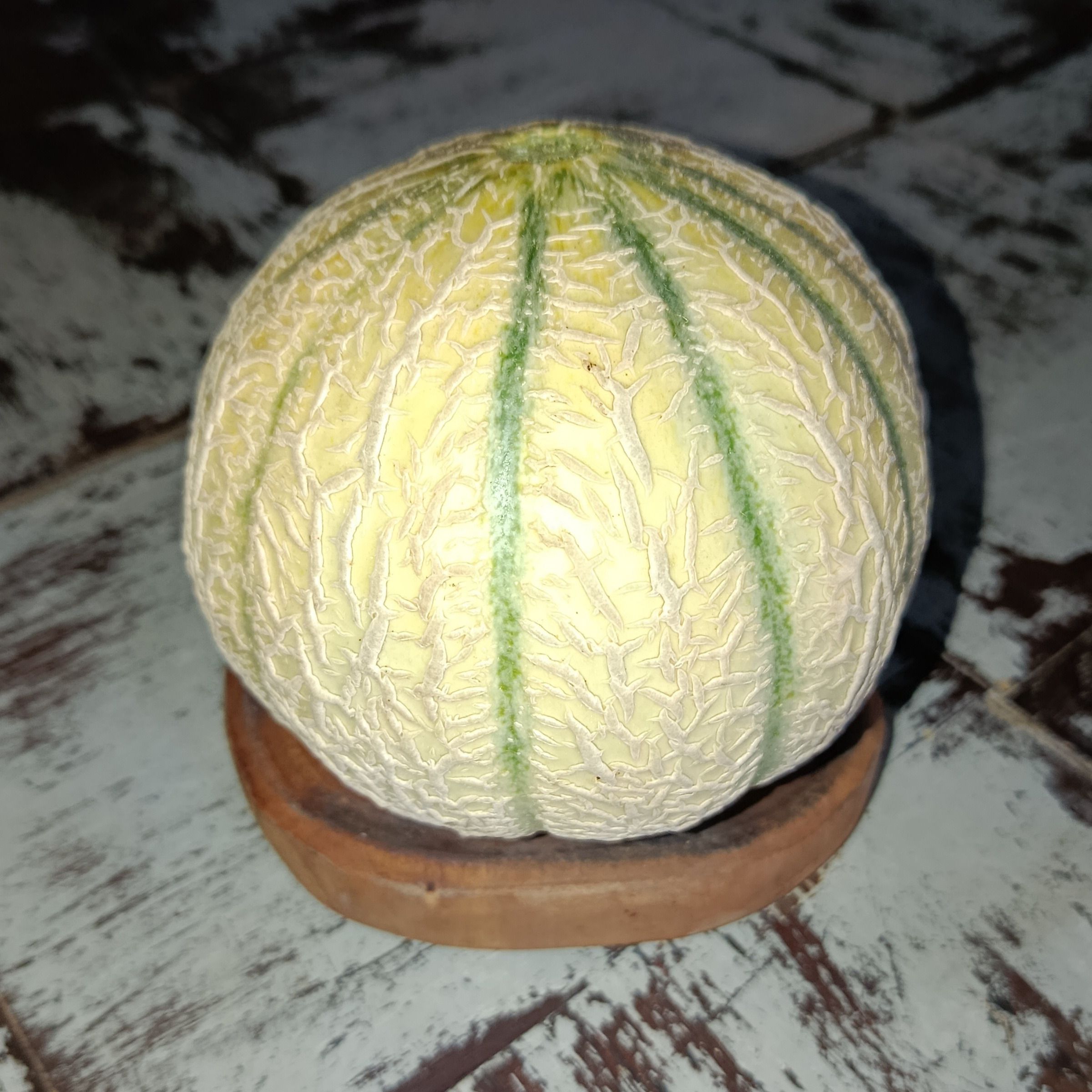 Melon charentais - 1kg