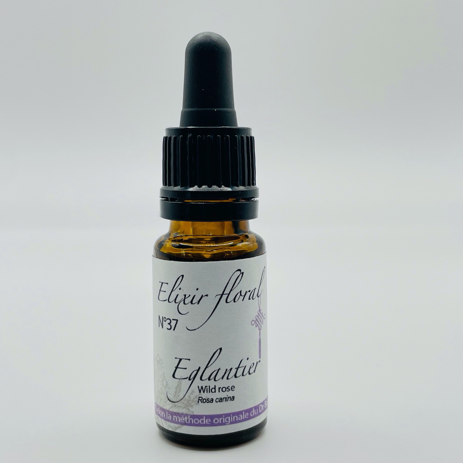 EGLANTIER, Rosa canina, WILD ROSE - 37 - 10ml