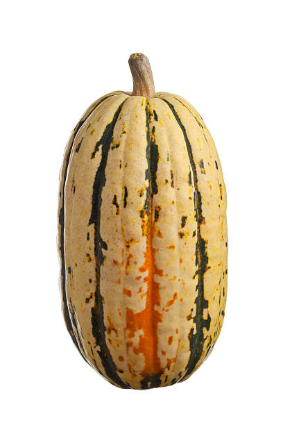 Courges (Delicata) - 1kg