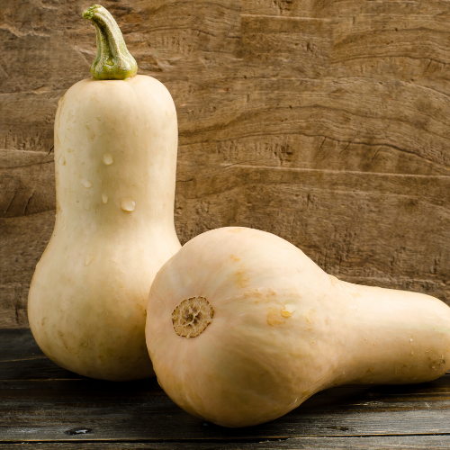 COURGE BUTTERNUT Bio