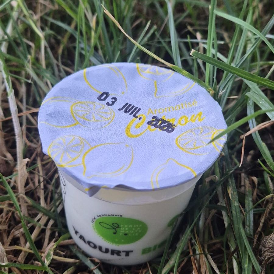 Yaourt aromatisé Citron - 100g