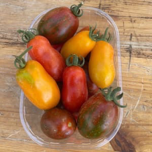 Tomate apéro barquette - 250g