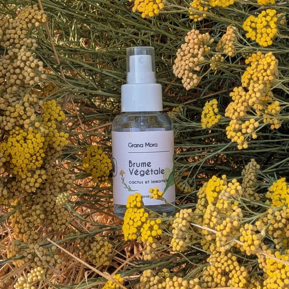 Brume végétale - cactus & immortelle - 50ml