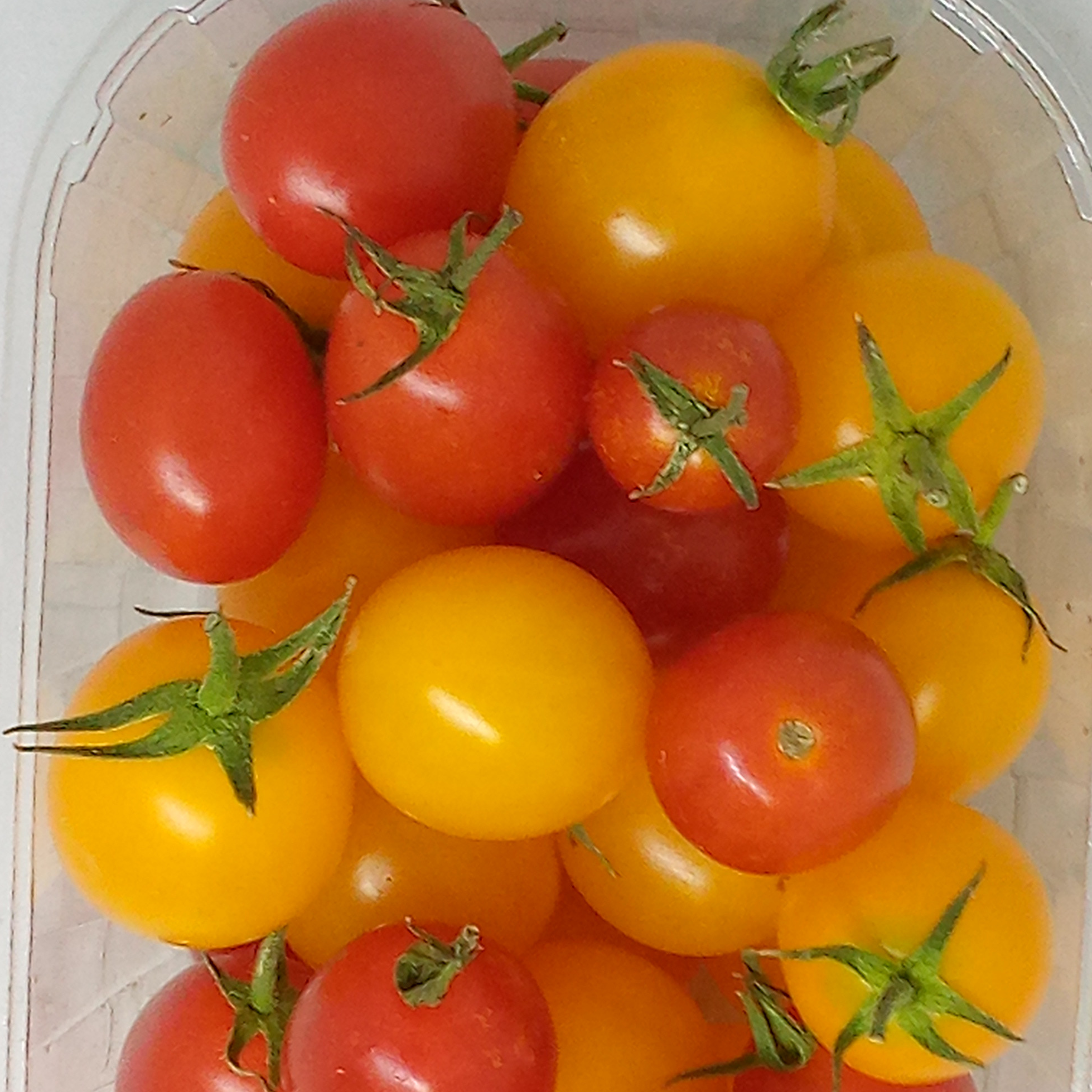 tomate cerise