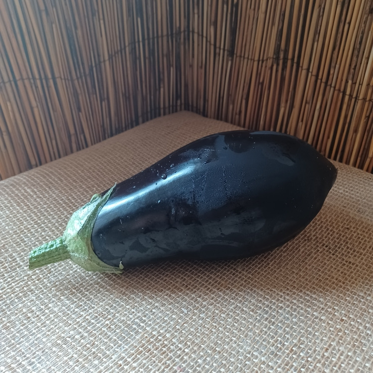 Aubergine - CHAMP DES PAPILLES - 400g