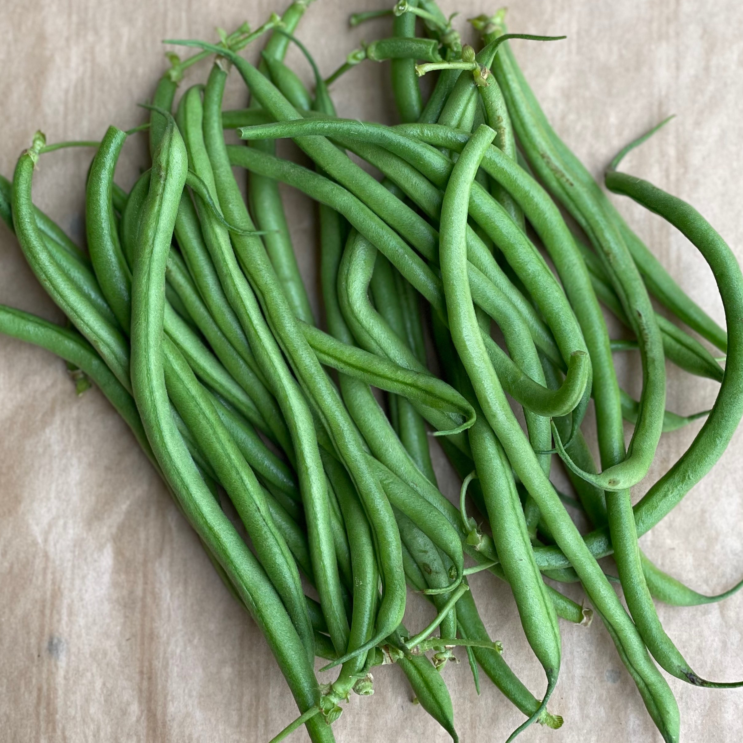 Haricot moyen 0,5kg - 500g