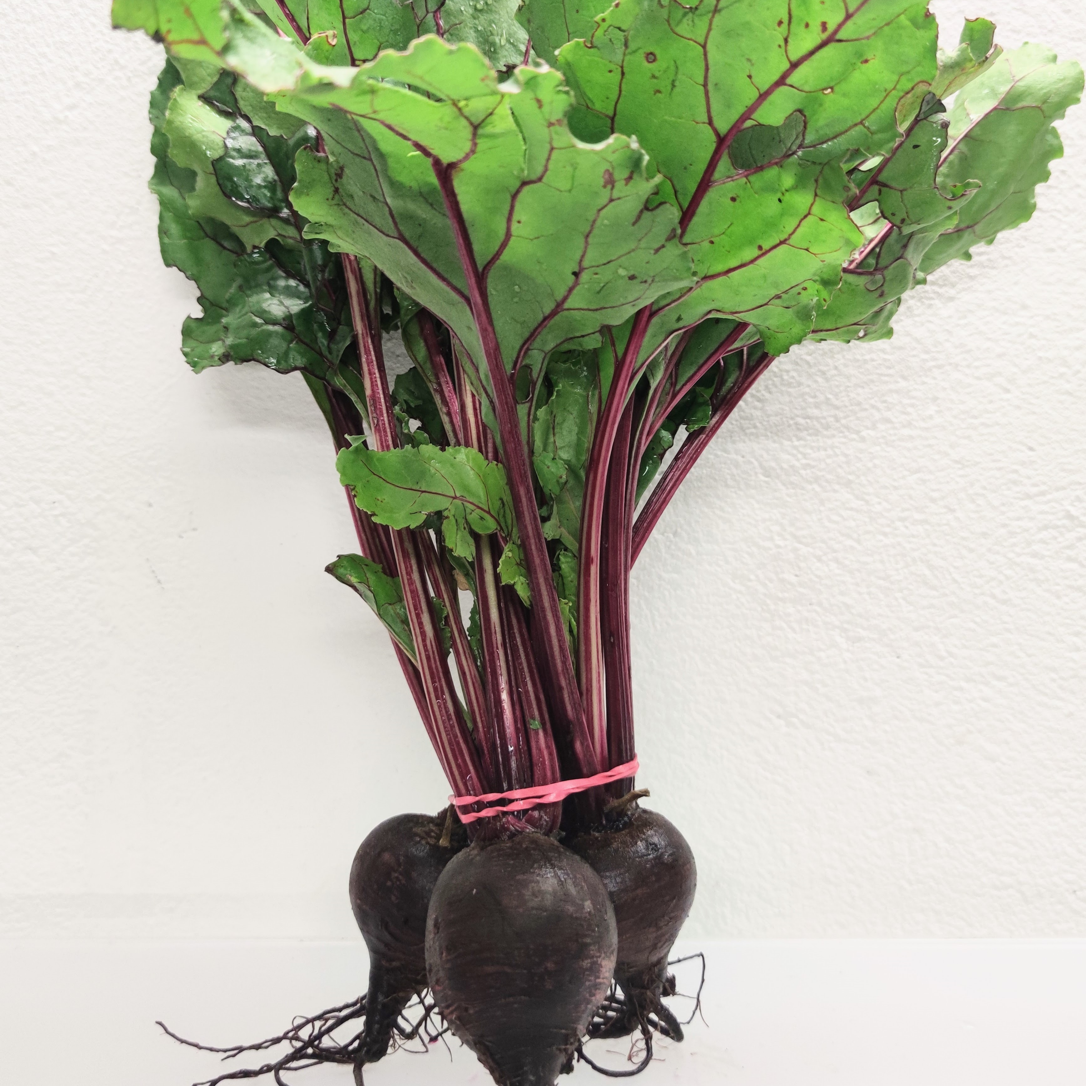 Betteraves fanes rouge - Botte - 0,5kg