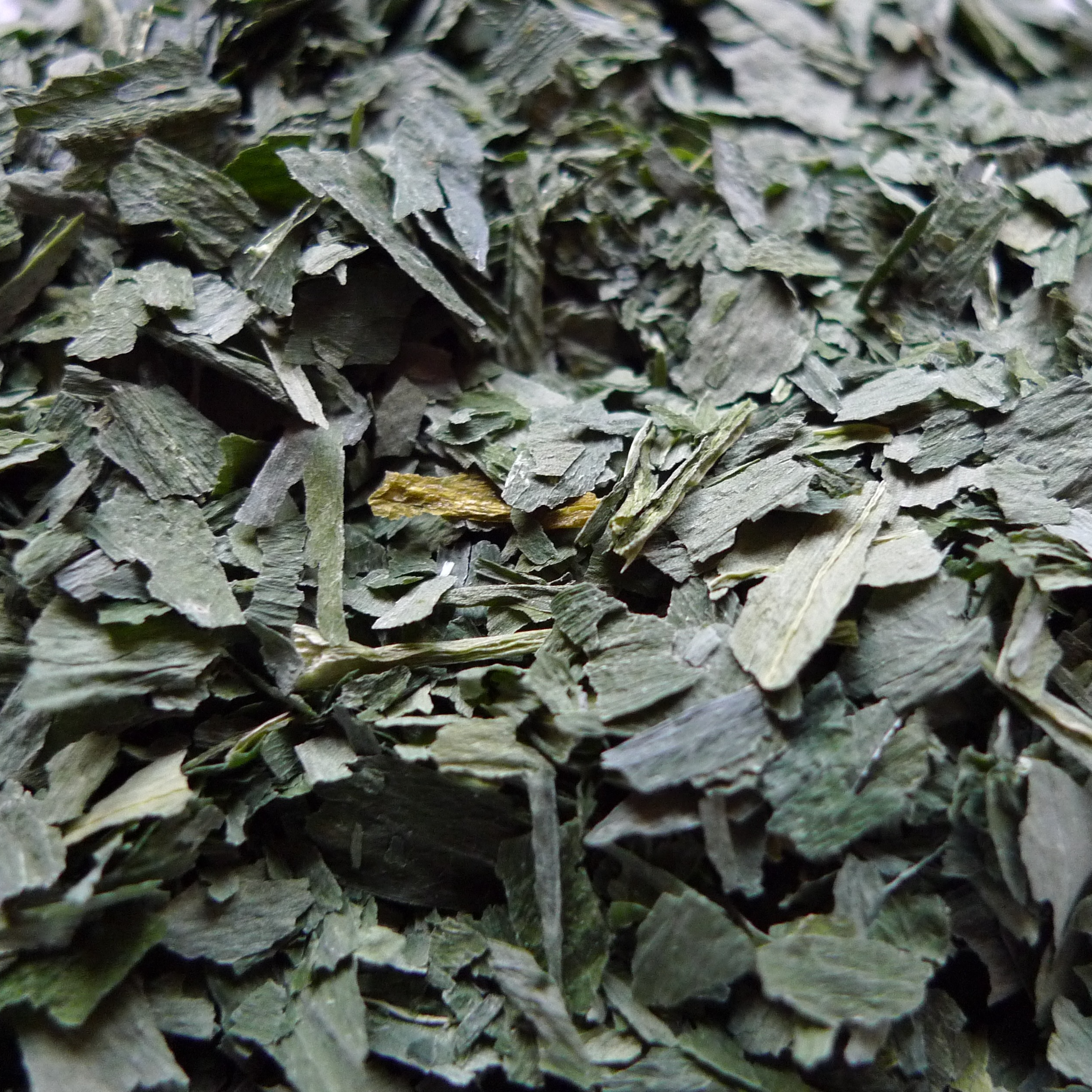 Ail des ours - 8g
