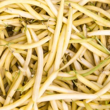 Haricot beurre Bio