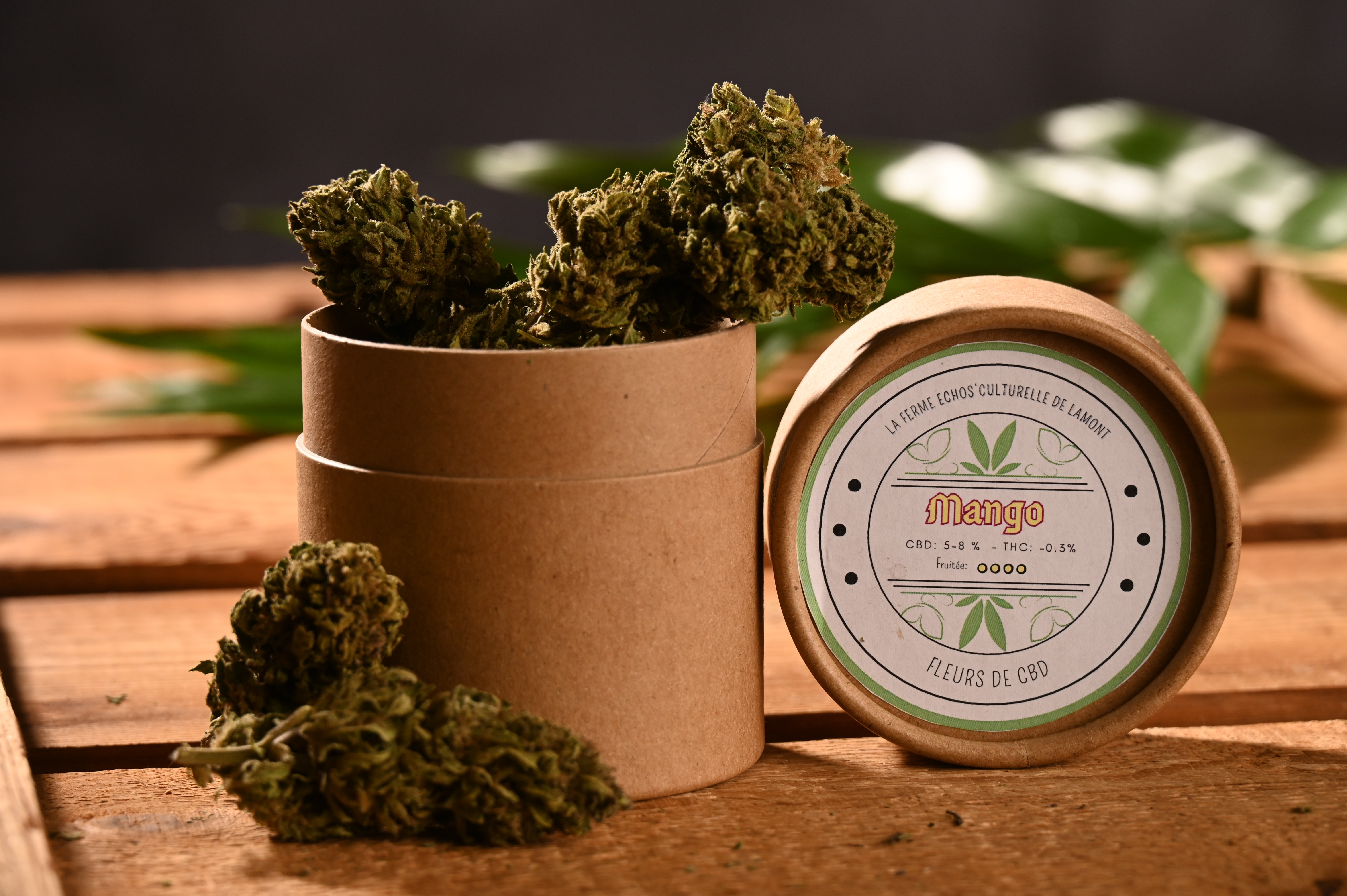 Fleurs de CBD Mango