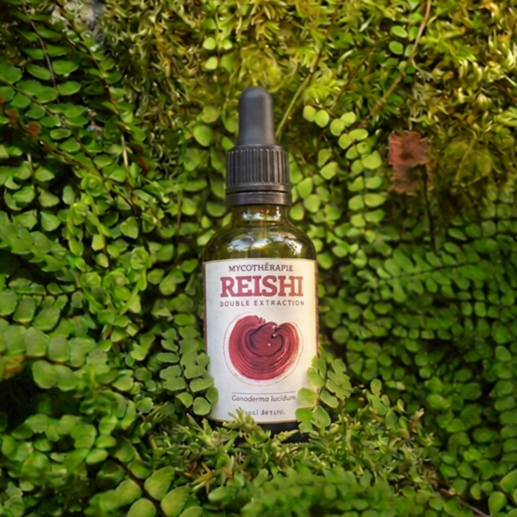 Extracto de Reishi - 30ml