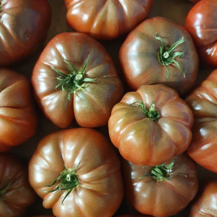 Tomate Ancienne Noire de Crimée  (population) - 500g