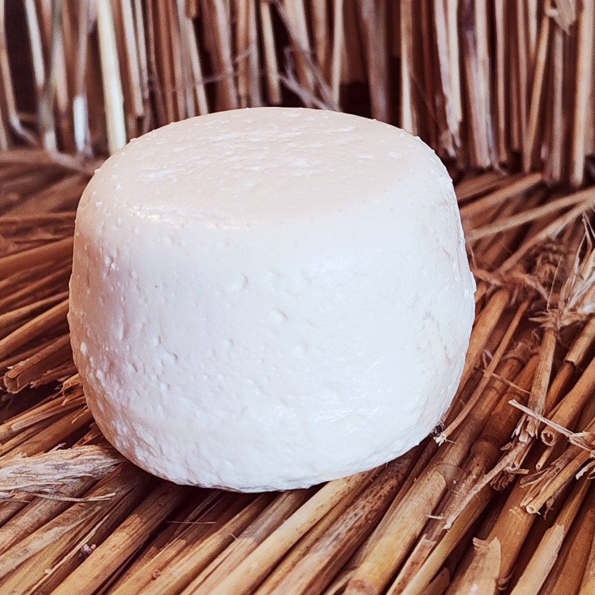 Crottin frais nature