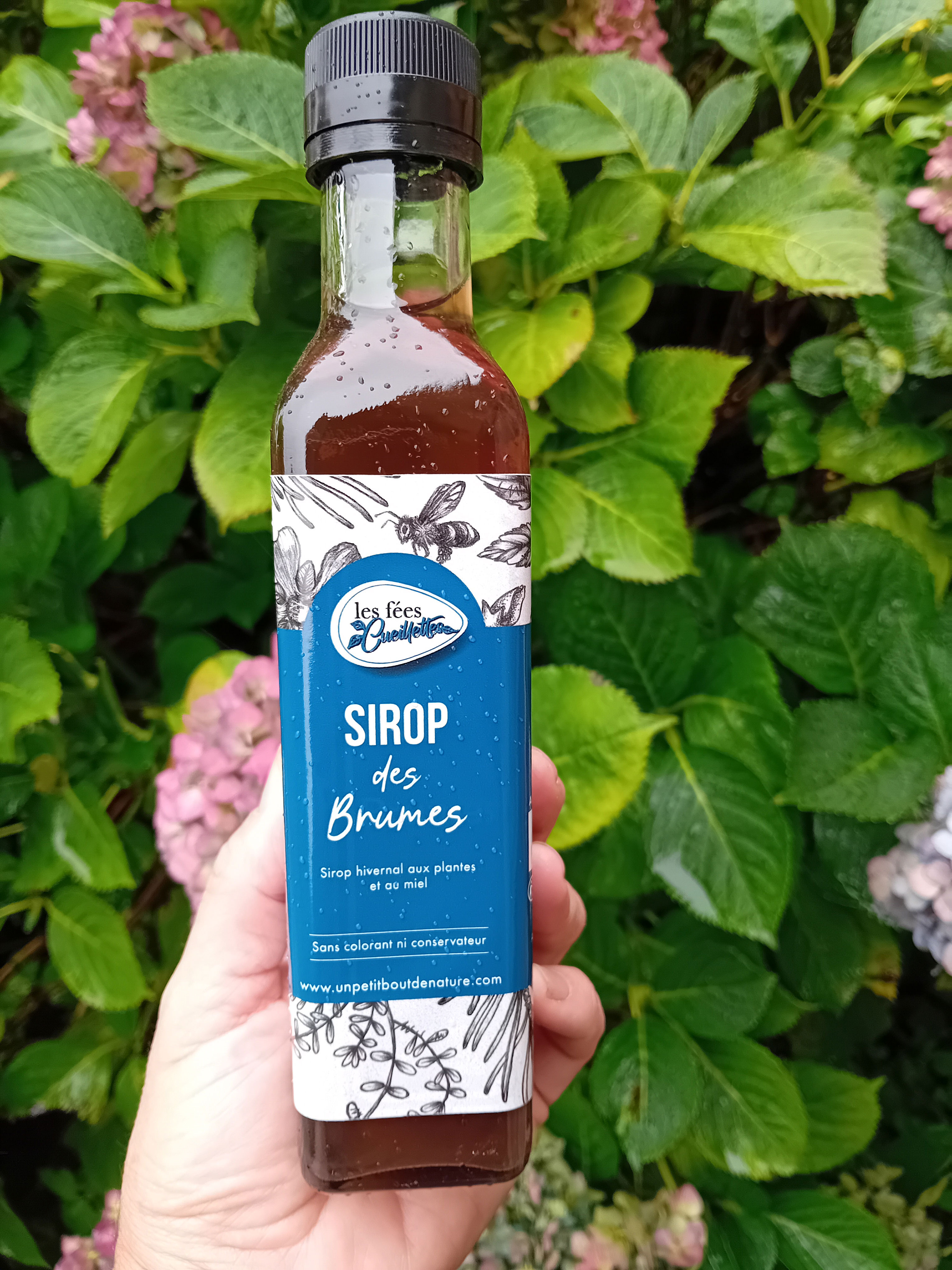 Sirop des Brumes - 250ml