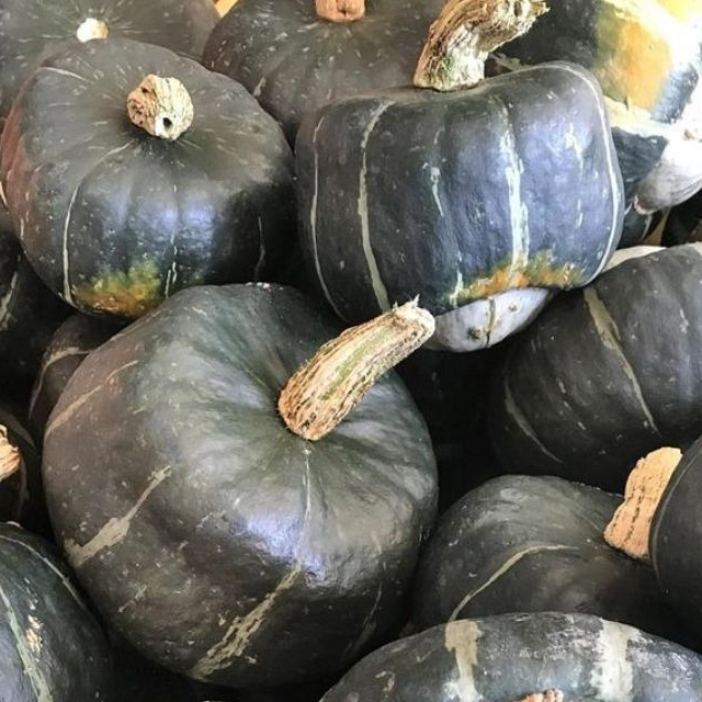 Courge Buttercup