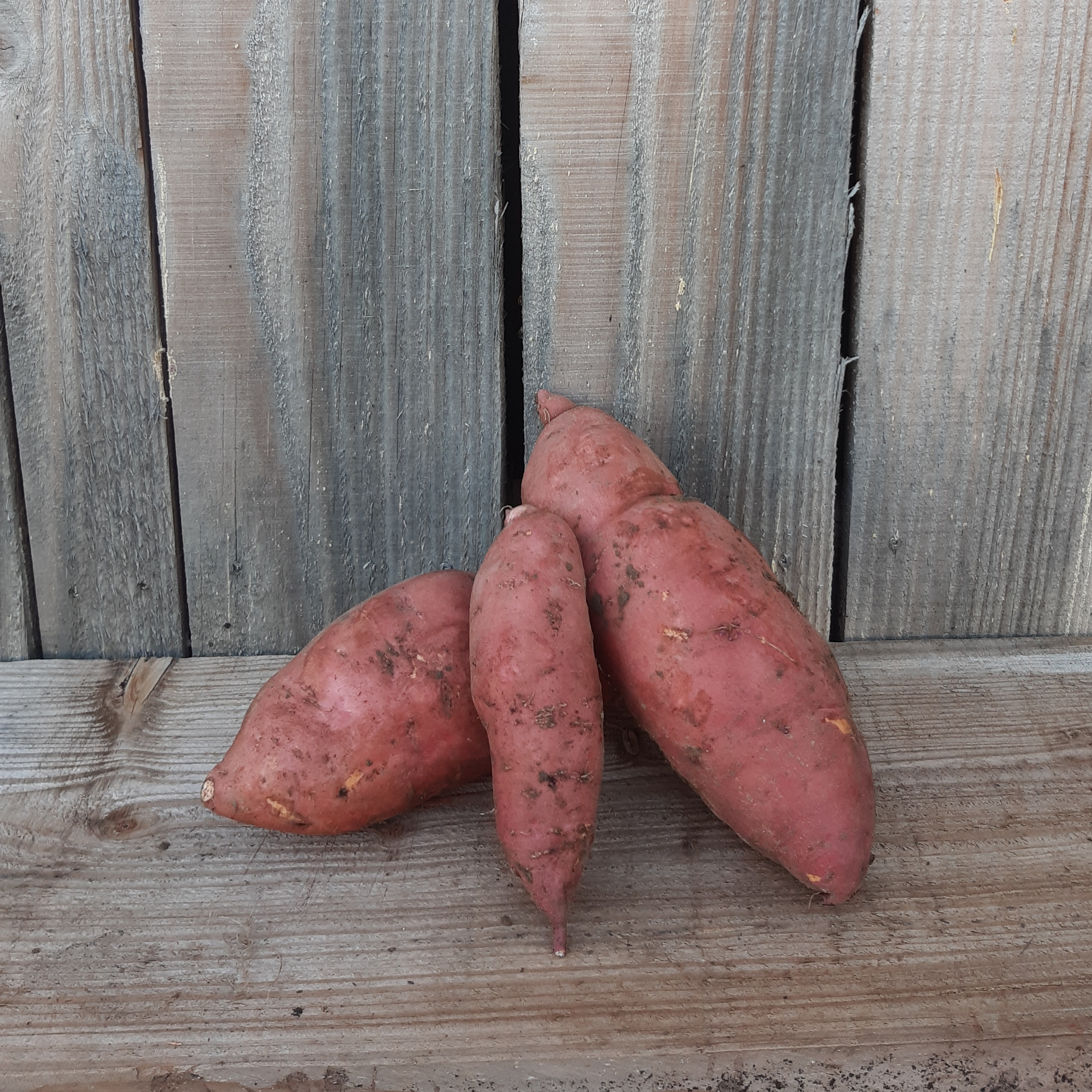 Patate douce au kg - 1000g