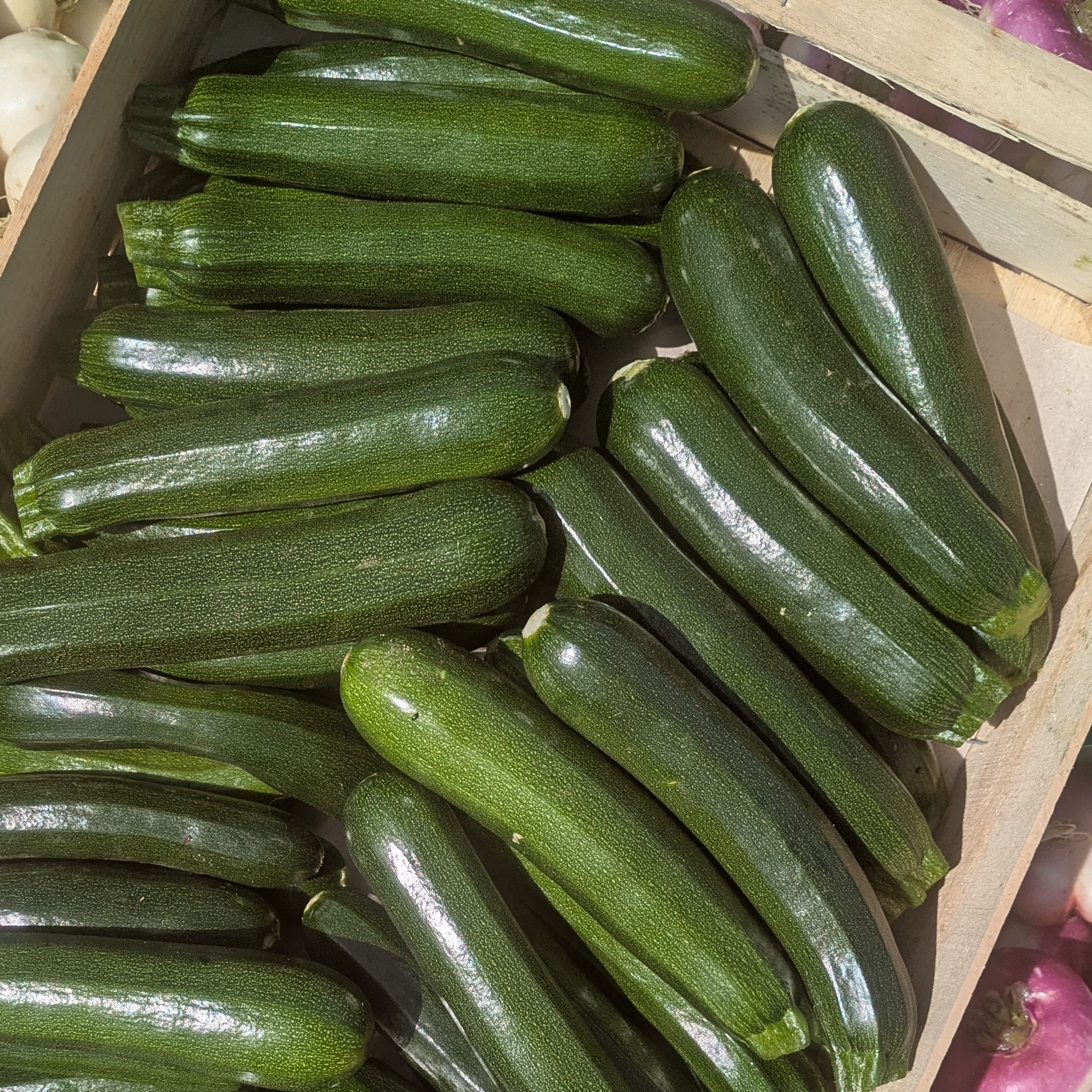 courgette