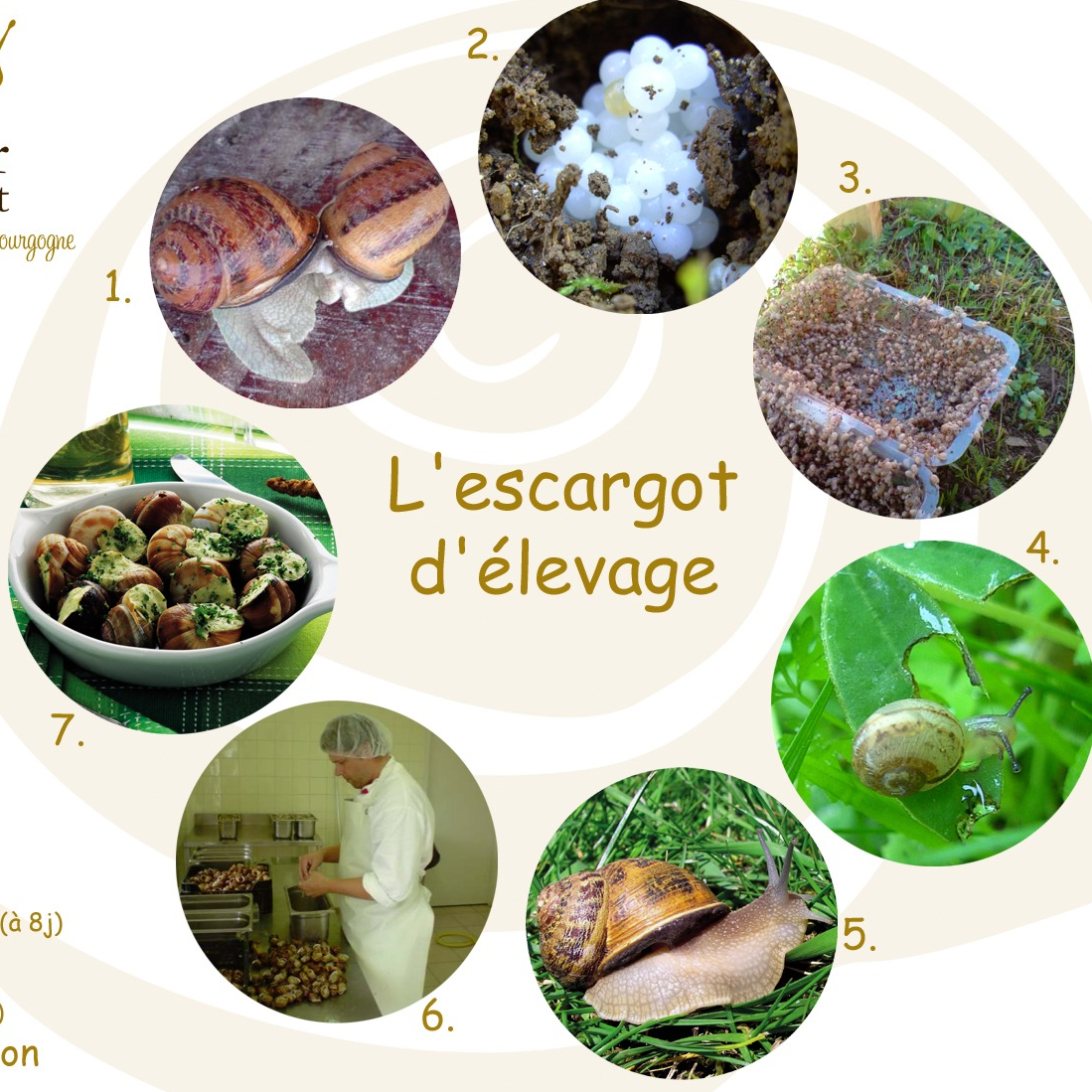 Déjeuner fermier 20 septembre 26