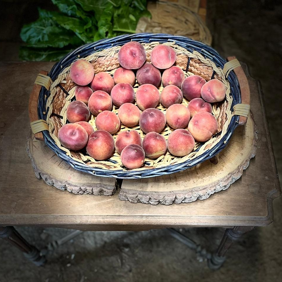 Plateau de pêche ( autre producteur, Château Binest )