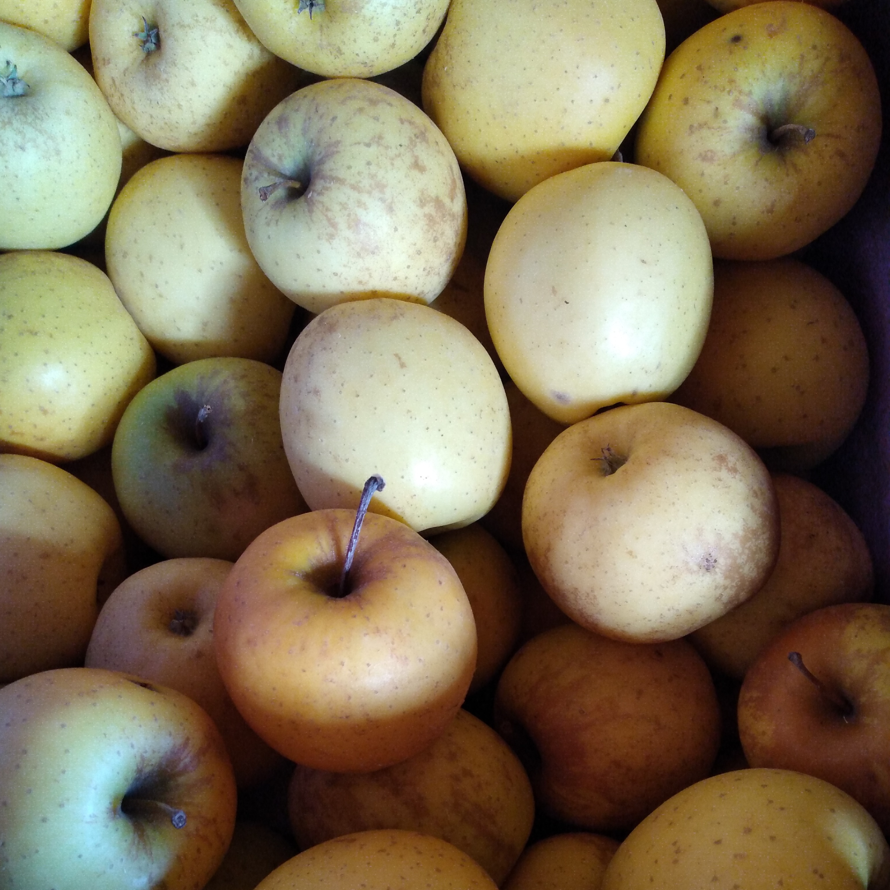 Pommes golden - (kg)