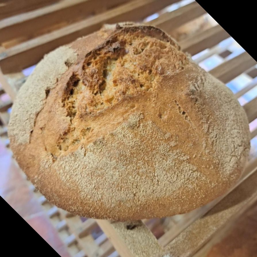 Pain engrain & petit épautre [faible en gluten]