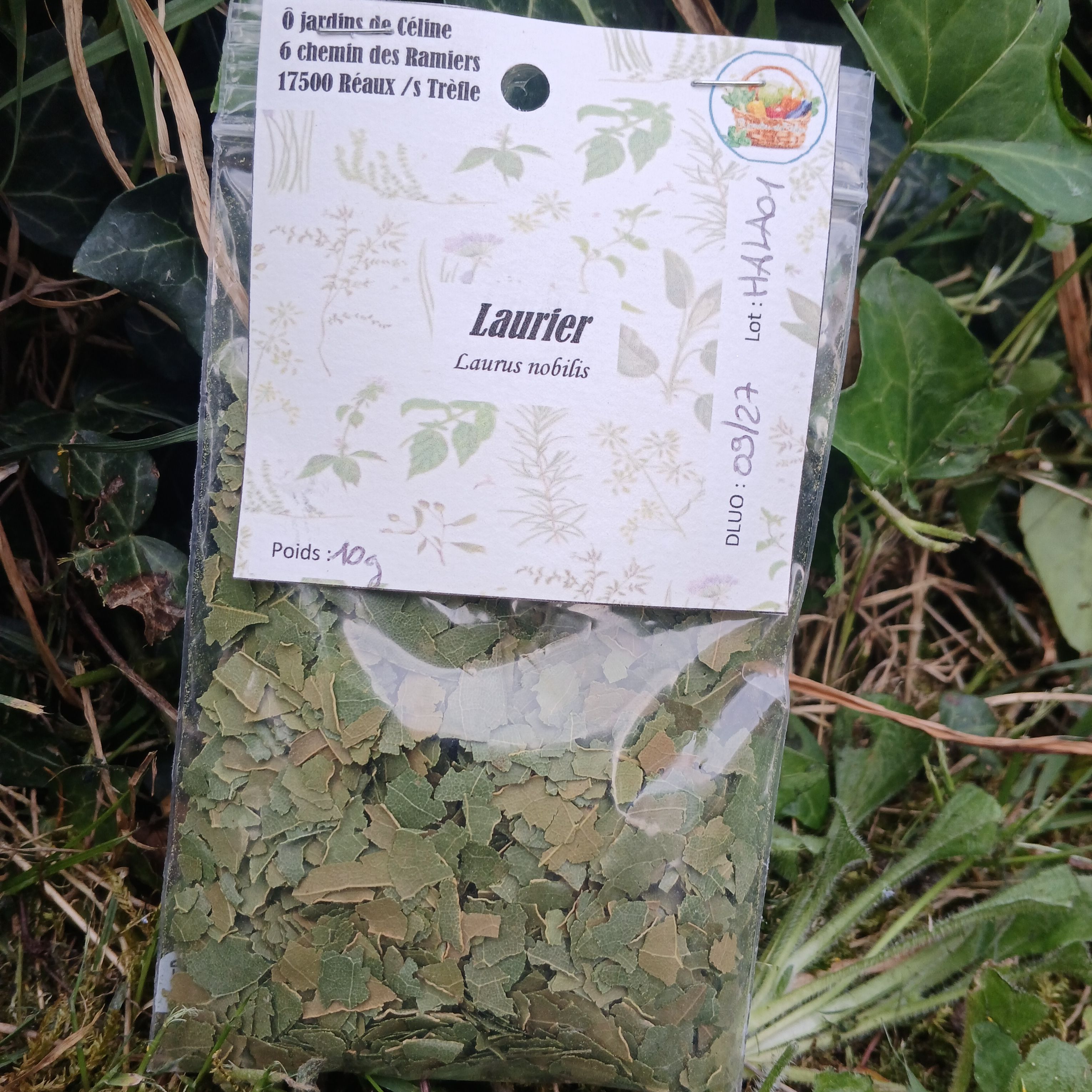 laurier séché - 7g