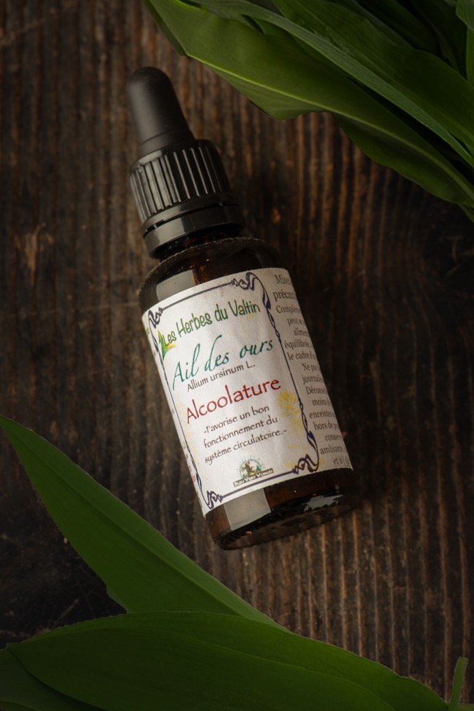 Alcoolature ail des ours - 30ml