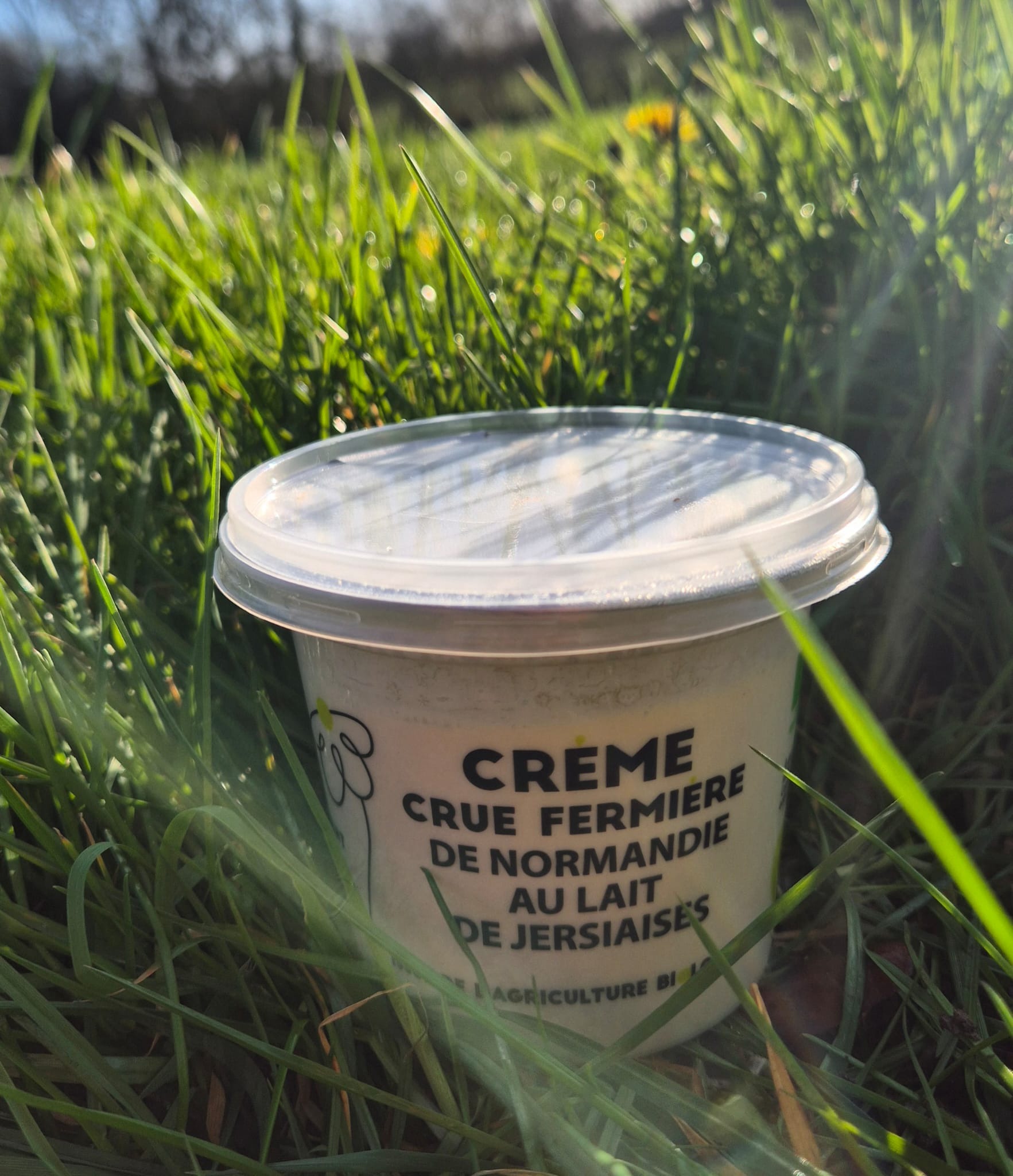 Crème crue