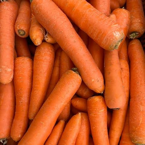 Carotte