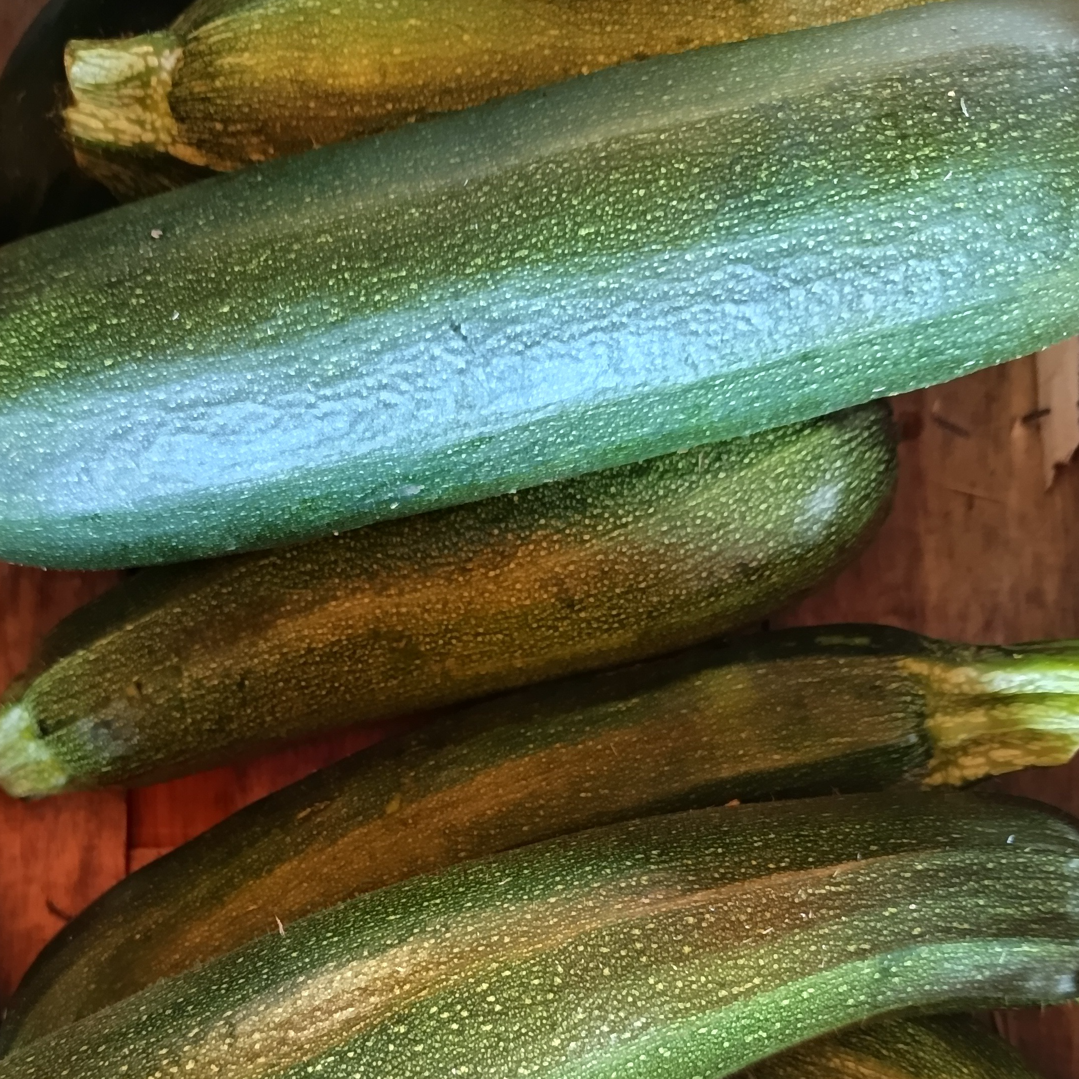 Courgette verte