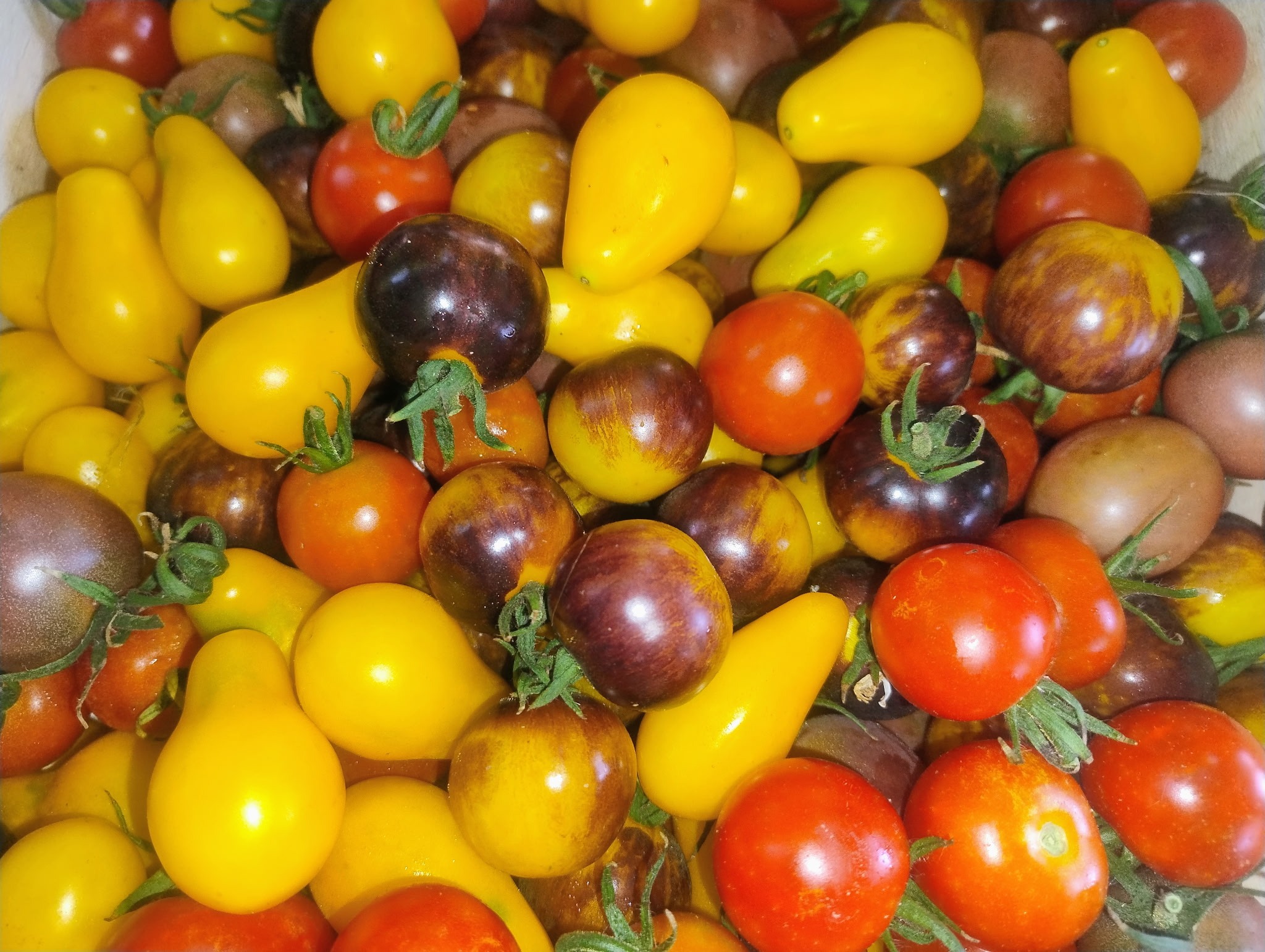 TOMATE (Cocktail)