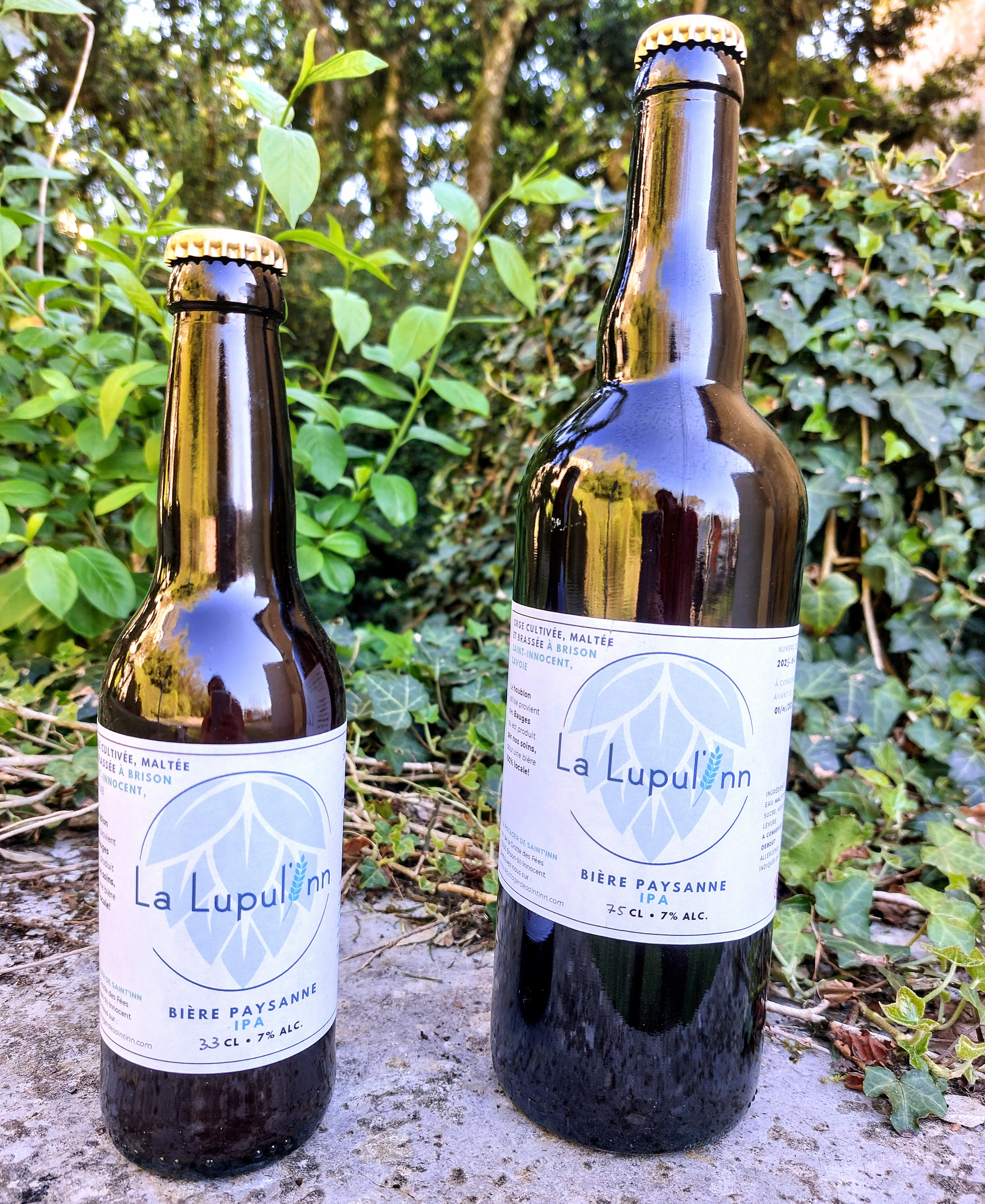Lupul'Inn (IPA) - 75cl