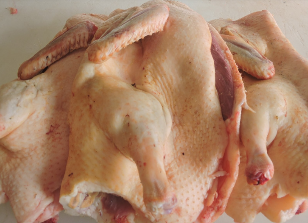 Paletot en commande par téléphone uniquement