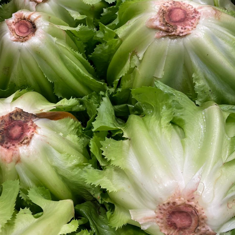 Scarole plate - 500g