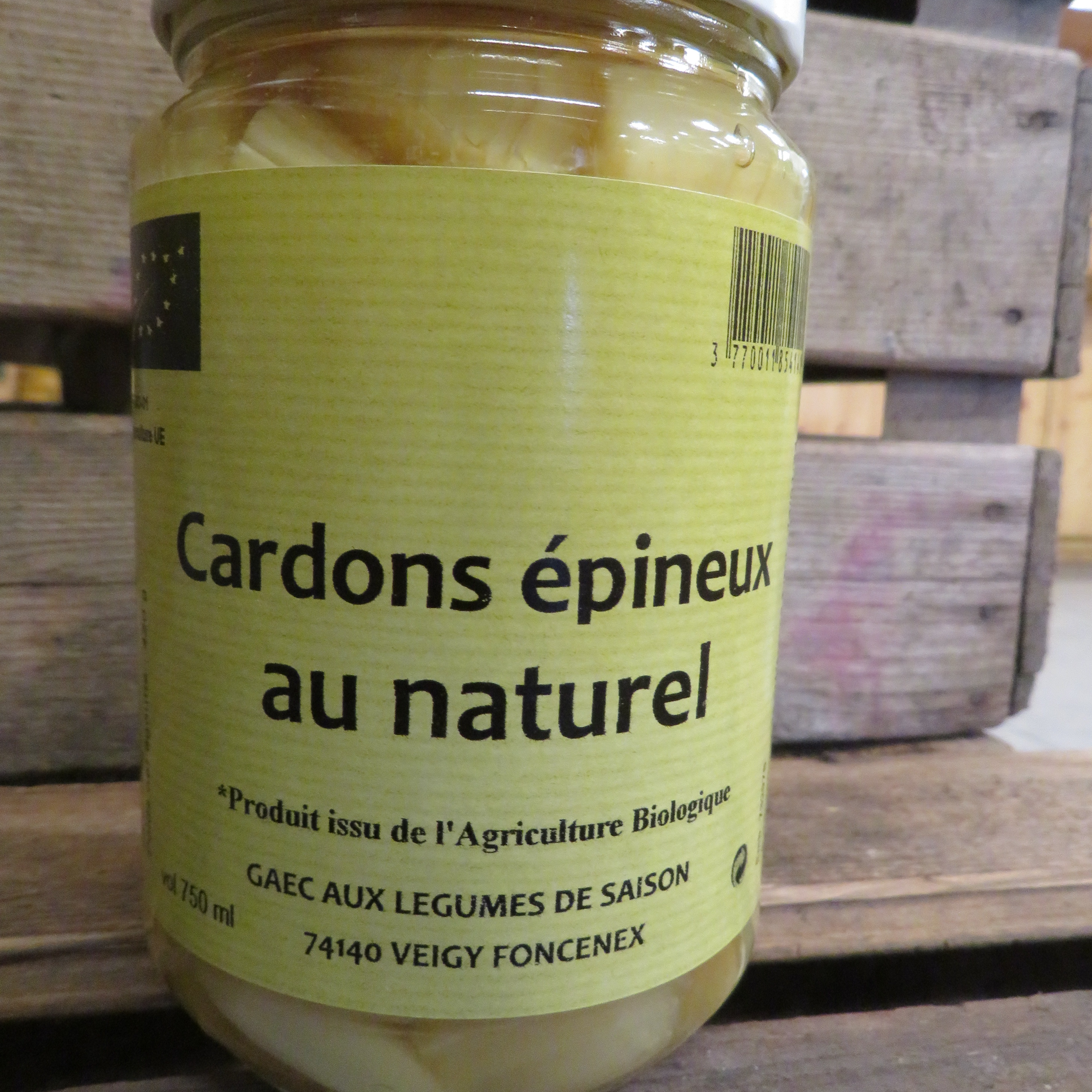 Cardons épineux au naturel Bio