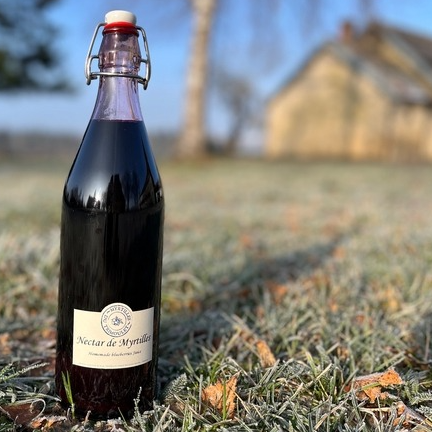 Nectar de Myrtille - Grande Bouteille 97.5 cL - 975g