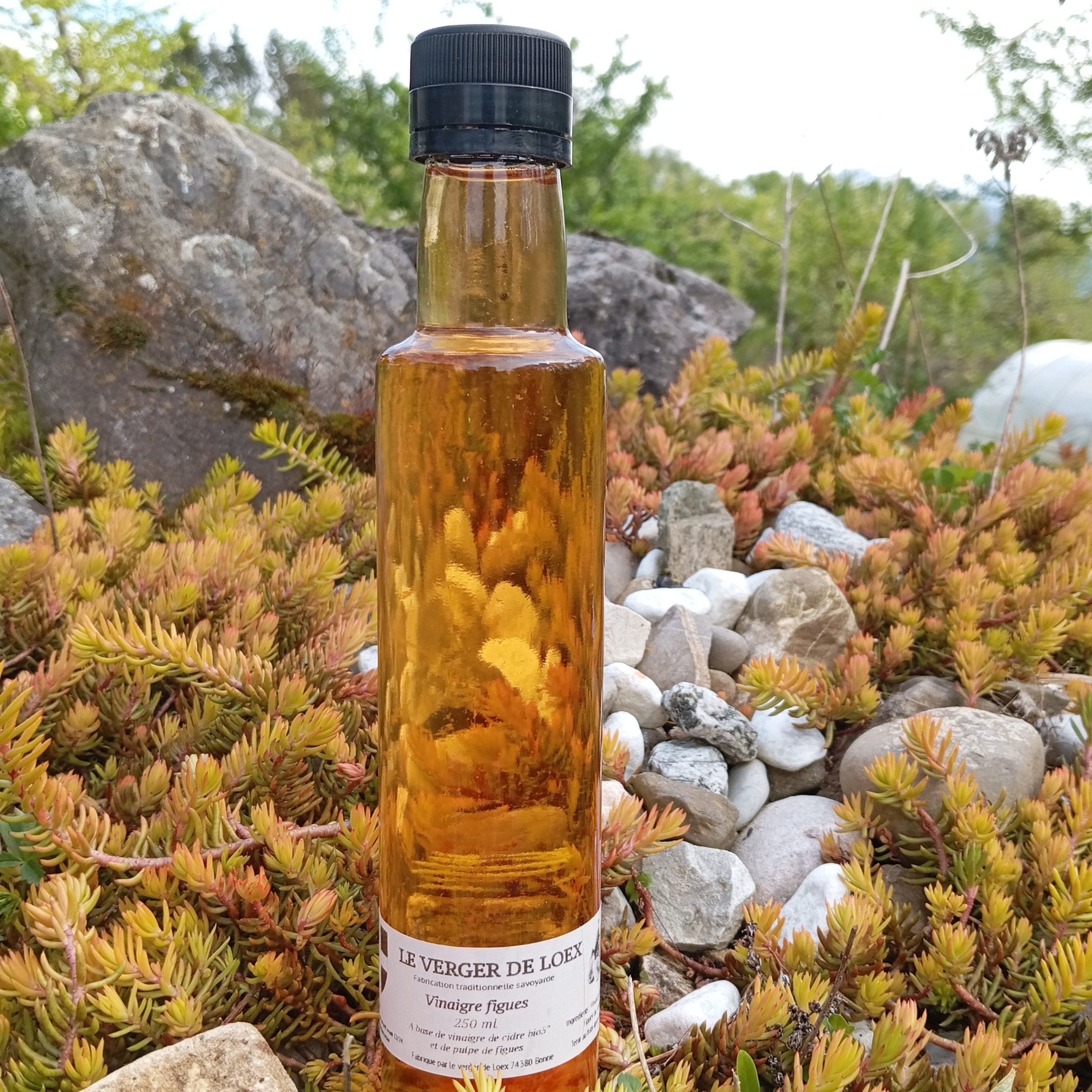 Vinaigre à la feuille de figuier BIO - 250ml - 250ml