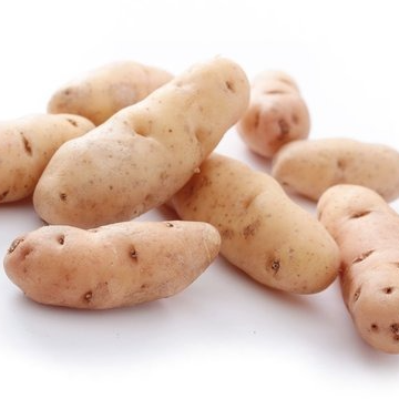 Pommes de terre - Corne de Gatte