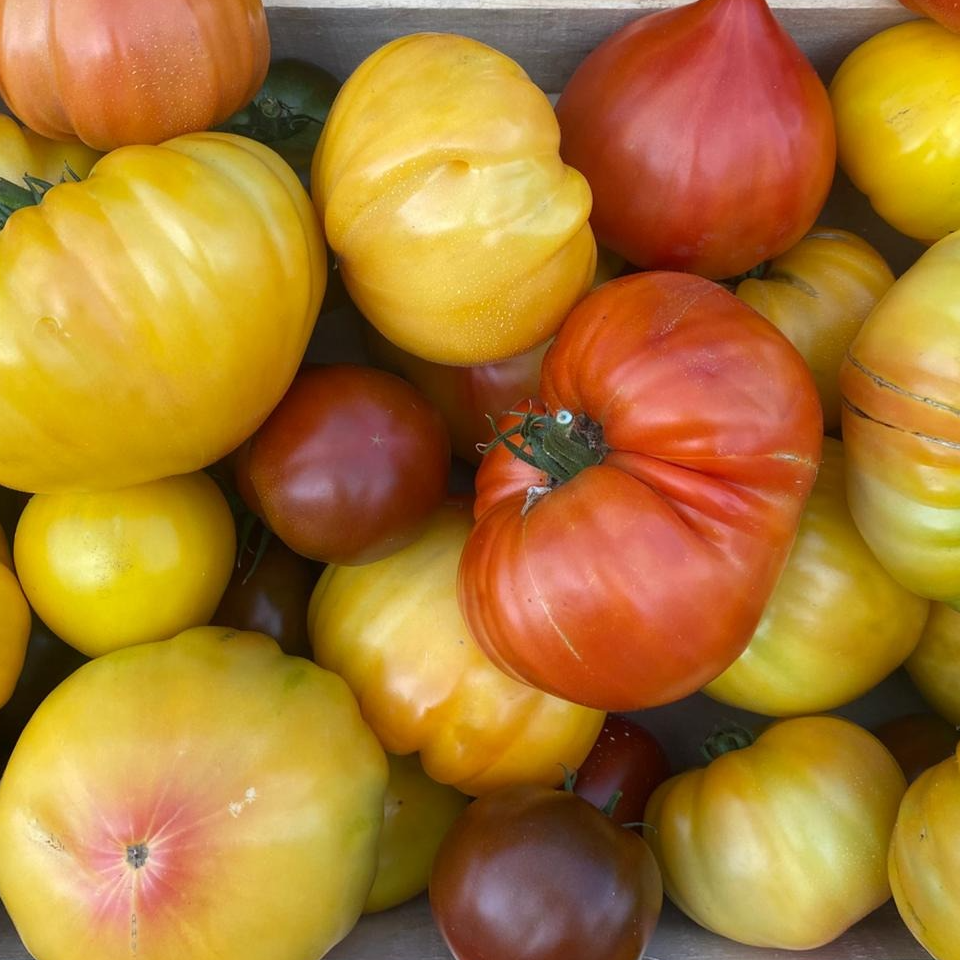 Tomates Anciennes Mixtes - 750g