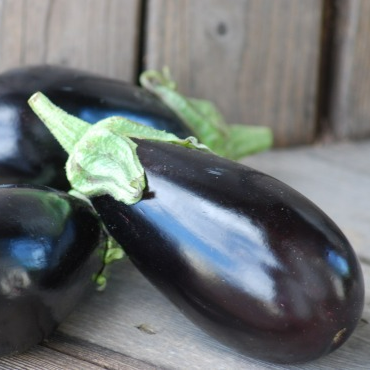 Aubergine bio