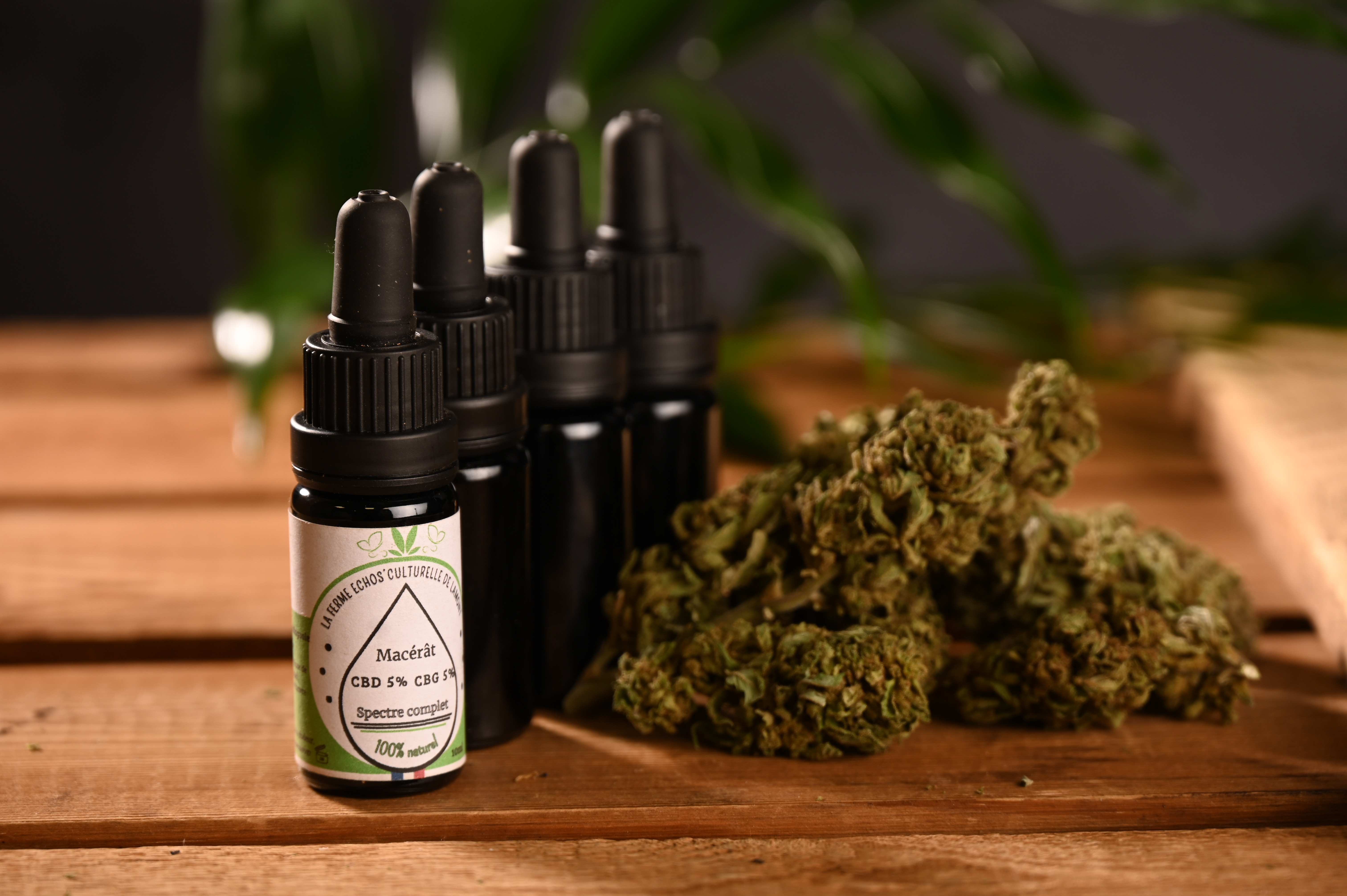 Macérât de Chanvre CBD/CBG 5% - 50g