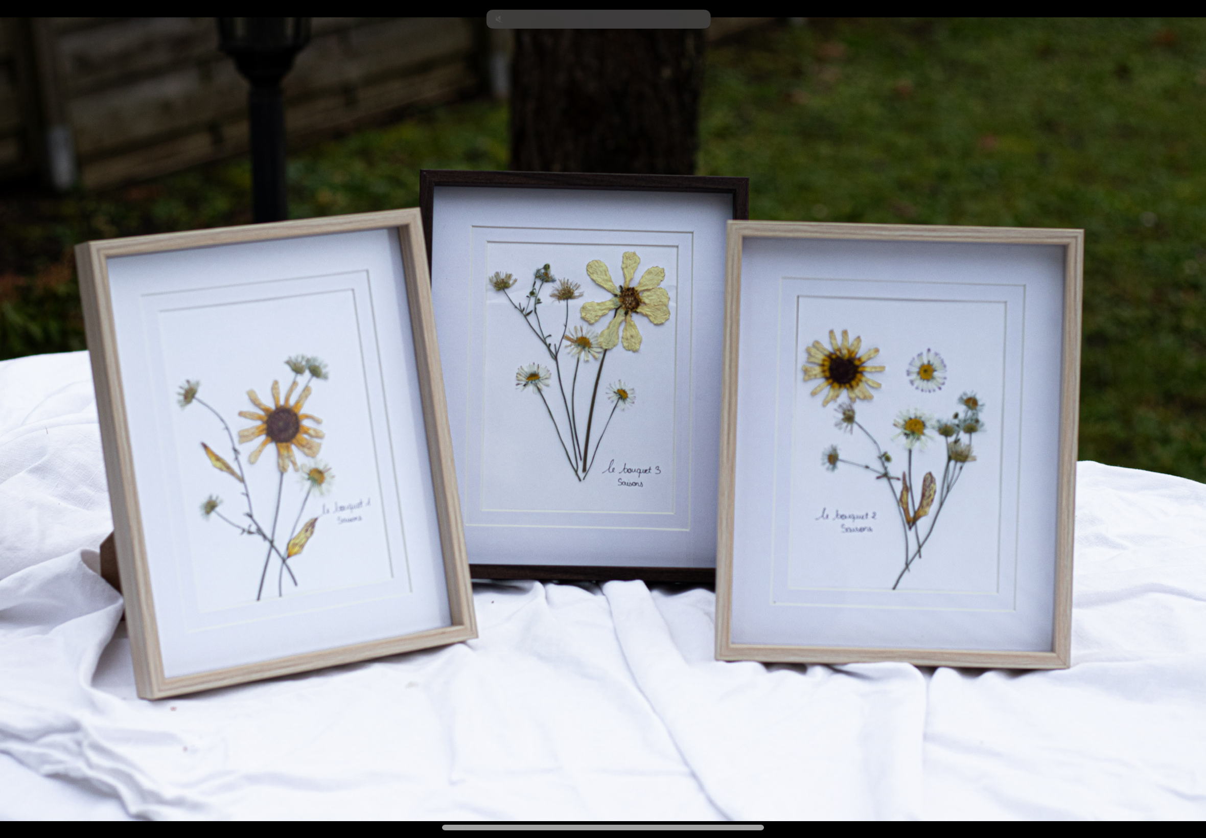 Composition de fleurs pressées - Le bouquet 1, 2 et 3 🌸